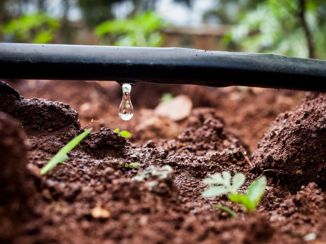 Design Team Expansion at Smart Water